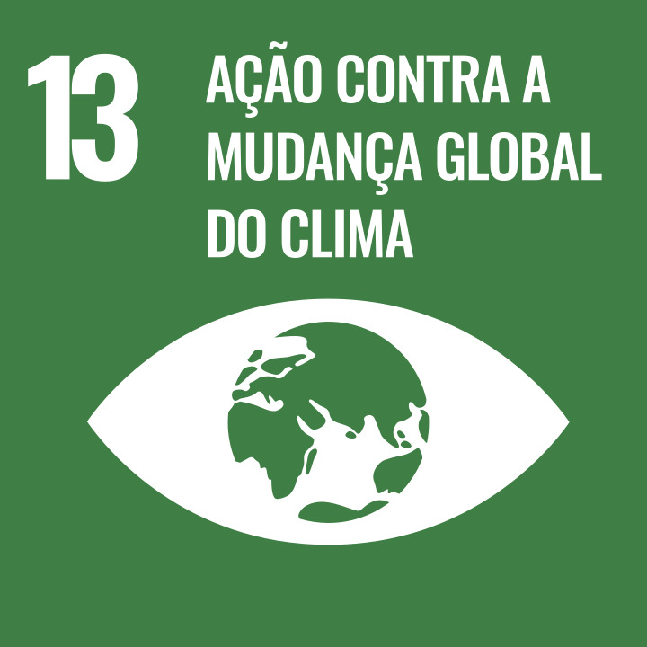 ODS 13 - Ação Climática